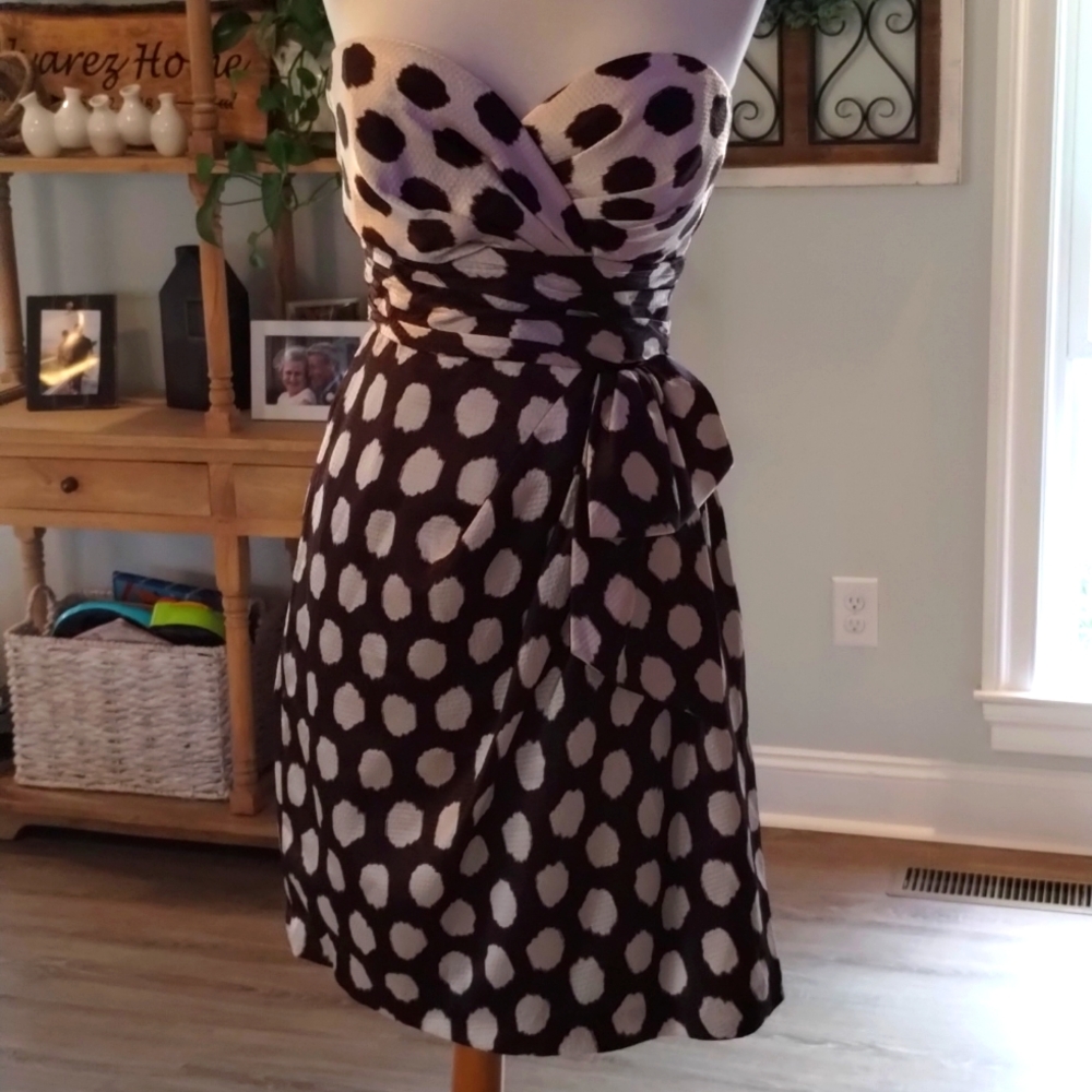 Polka Dot Dress